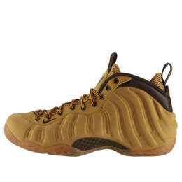 Nike: Коричневые кроссовки  Air Foamposite One PRM