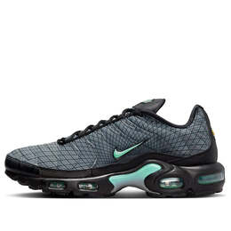 Nike: Серые кроссовки  Air Max Plus