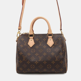 Louis Vuitton: Коричневая сумка  Speedy