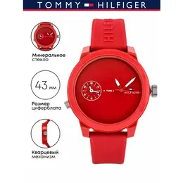 TOMMY HILFIGER: Часы 