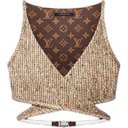 Louis Vuitton: Короткий топ 