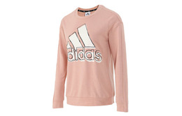 Adidas: Свитшот 