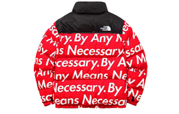 Supreme: Пуховик  TNF