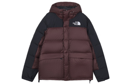 The North Face: Коричневое пальто 