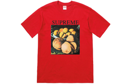 Supreme: Футболка 