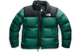 The North Face: Зелёный пуховик  1996