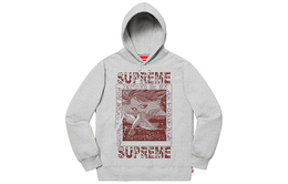 Supreme: Осенняя толстовка 