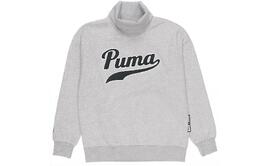 PUMA: Спортивная толстовка 