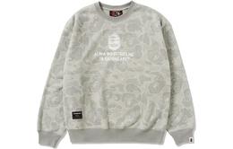 A BATHING APE: Тёмная толстовка 