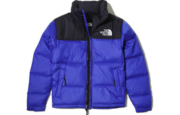 The North Face: Синий пуховик  1996