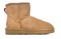 UGG: Бордовые ботинки  Classic Mini