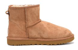 UGG: Коричневые ботинки  Classic Mini