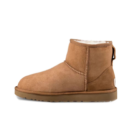 UGG: Ботинки  Classic Mini