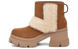 UGG: Сапоги 