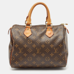 Louis Vuitton: Коричневая сумка  Speedy 25