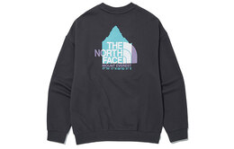 The North Face: Тёмная толстовка 