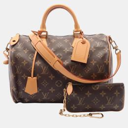 Louis Vuitton: Коричневая сумка  Speedy