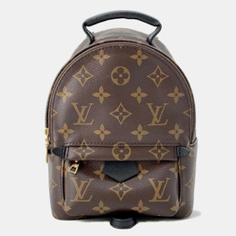 Louis Vuitton: Коричневый рюкзак 