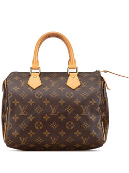 Louis Vuitton Pre-Owned: Коричневая сумка 