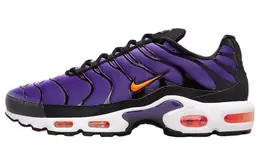 Nike: Синие кроссовки  Air Max Plus