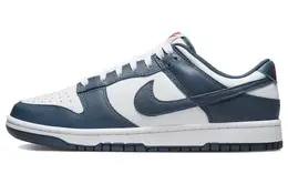 Nike: Голубые кеды  Dunk Low Retro