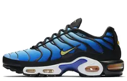 Nike: Голубые кроссовки  Air Max Plus OG