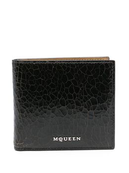 Alexander McQueen: Чёрный картхолдер 