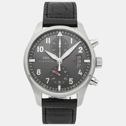 IWC: Часы  Pilot's