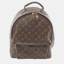 Louis Vuitton: Коричневый рюкзак 