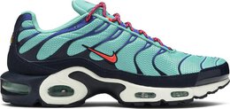 Nike: Синие кроссовки  Air Max Plus