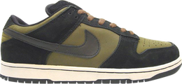 Nike: Зелёные кроссовки  Dunk Low Pro SB