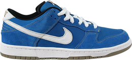 Nike: Синие кроссовки  Dunk Low Pro SB