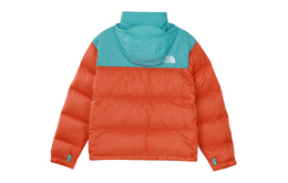 The North Face: Синий пуховик  1996