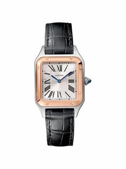 Cartier: Часы  Santos