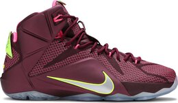 Nike: Фиолетовые кроссовки  Lebron 12