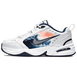 Nike: Белые кроссовки  Air Monarch