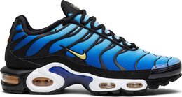 Nike: Голубые кроссовки  Air Max Plus