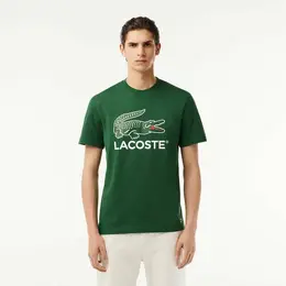 LACOSTE: Зелёная футболка 