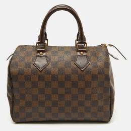 Louis Vuitton: Коричневая сумка  Speedy 25