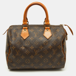 Louis Vuitton: Коричневая сумка  Speedy 25