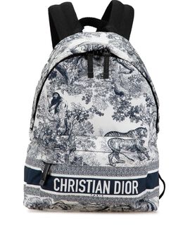 Christian Dior Pre-Owned: Голубой рюкзак 