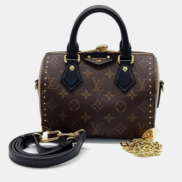 Louis Vuitton: Коричневая сумка  Speedy