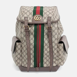 Gucci: Многоцветный рюкзак  Ophidia