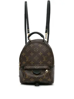 Louis Vuitton Pre-Owned: Коричневый рюкзак 