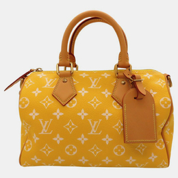 Louis Vuitton: Жёлтая сумка  Speedy