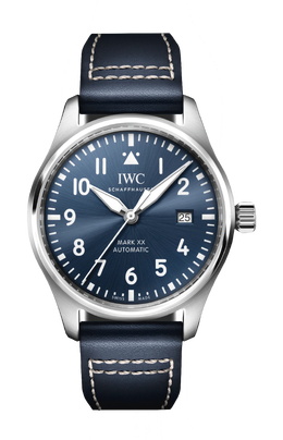 Iwc Schaffhausen: Часы 