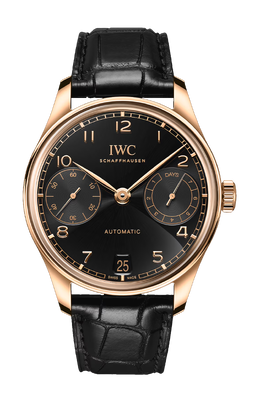 Iwc Schaffhausen: Часы  Portugieser