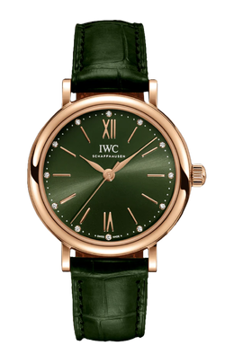 Iwc Schaffhausen: Часы  Portofino