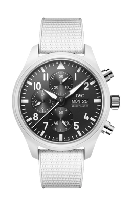 Iwc Schaffhausen: Часы 