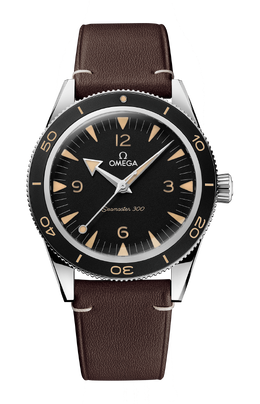 Omega: Часы  Seamaster